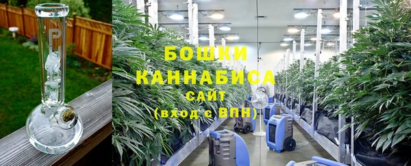 бошки Белокуриха