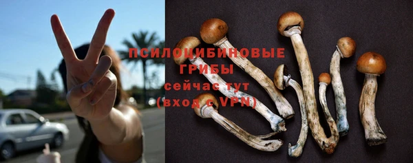 бошки Белокуриха