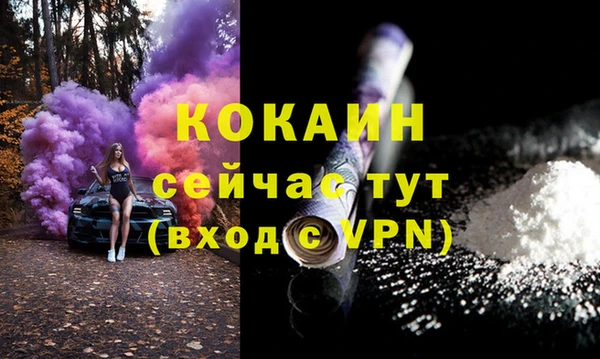 бошки Белокуриха