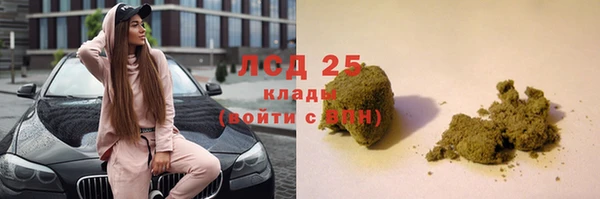 бошки Белокуриха