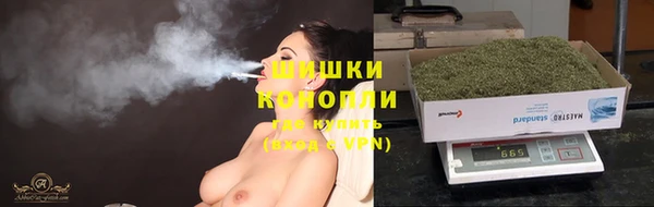 бошки Белокуриха